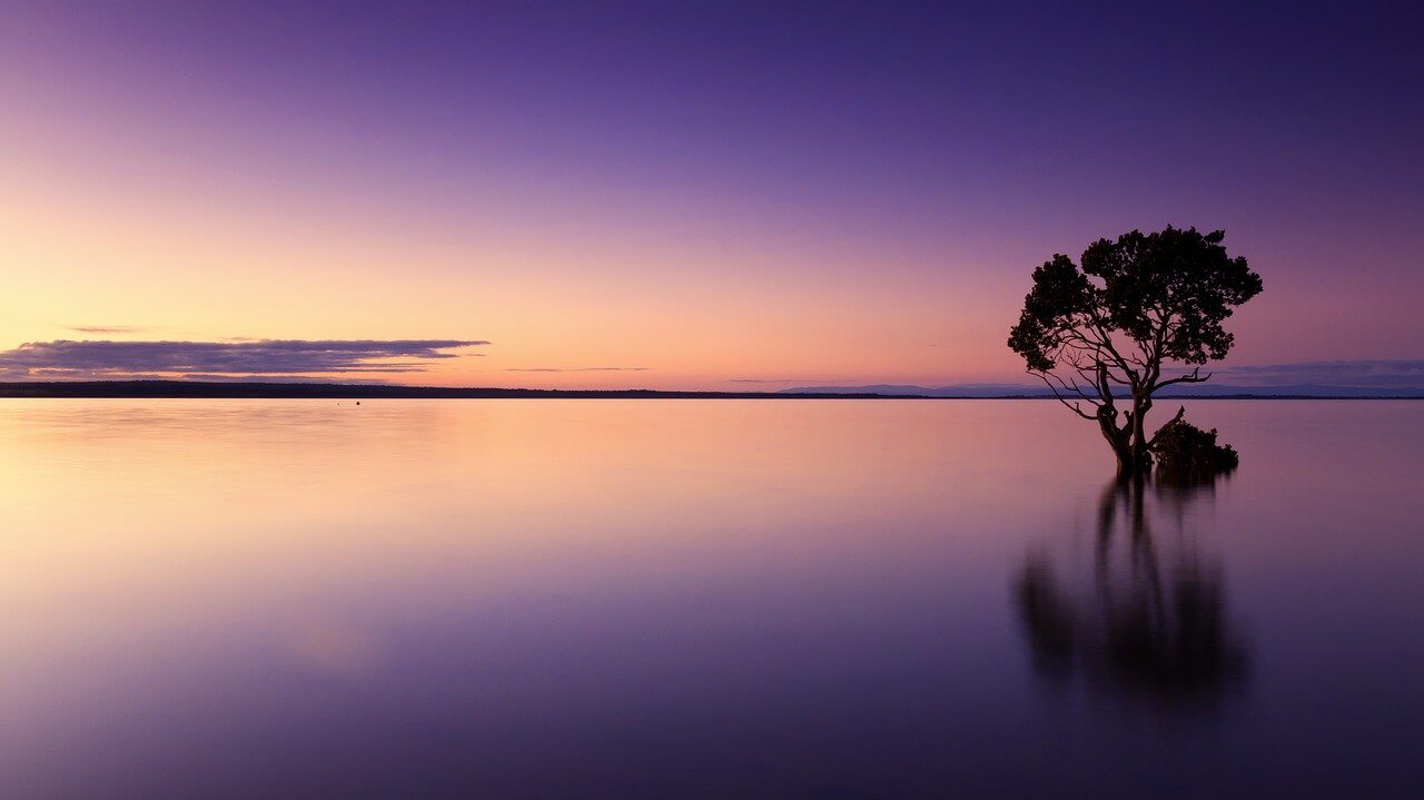 夜明け海